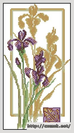 Download embroidery patterns by cross-stitch  - Отражение ириса, author 