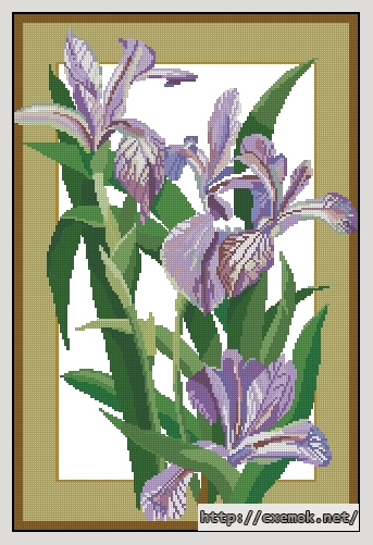 Download embroidery patterns by cross-stitch  - Ирисы