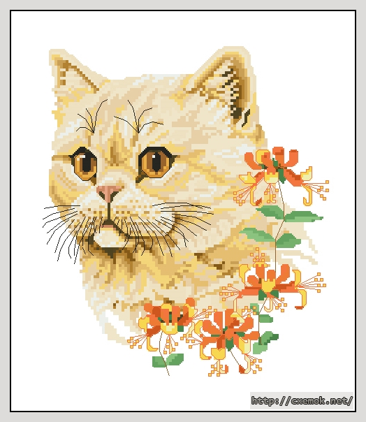 Завантажити схеми вишивки нитками / хрестом  - The exotic shorthair - summer cat by jayne netley mayhew