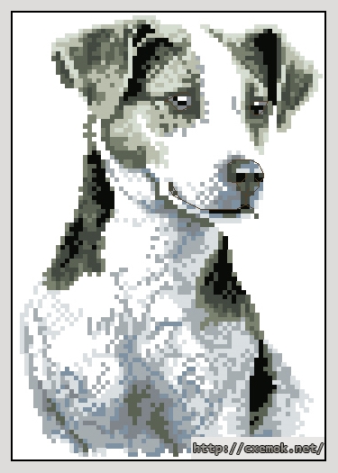 Download embroidery patterns by cross-stitch  - Jack russel, author 