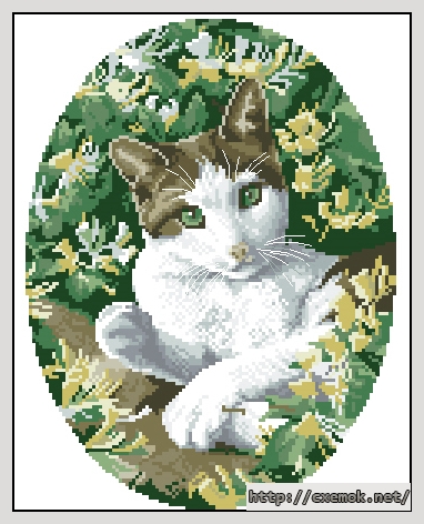 Скачать схемы вышивки нитками / крестом  - Brown and white cat, автор 