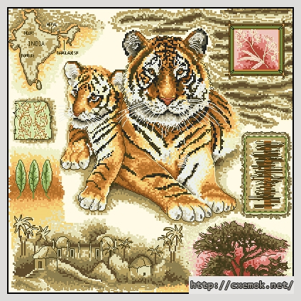 Скачать схемы вышивки нитками / крестом  - Tigers, автор 