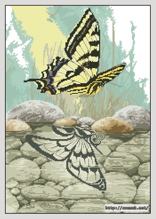 Скачать схемы вышивки нитками / крестом  - Butterfly reflection