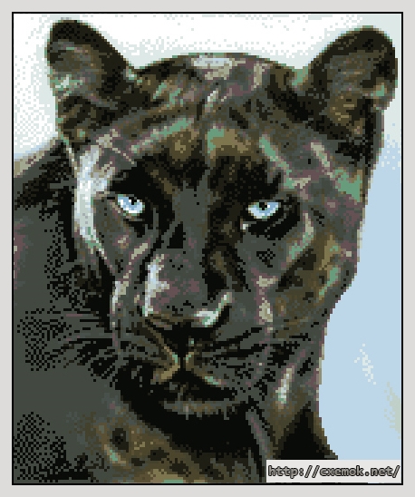 Скачать схемы вышивки нитками / крестом  - Black leopard, автор 