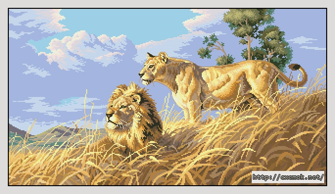 Скачать схемы вышивки нитками / крестом  - African lions, автор 