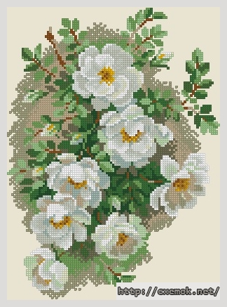 Download embroidery patterns by cross-stitch  - Белый шиповник, author 