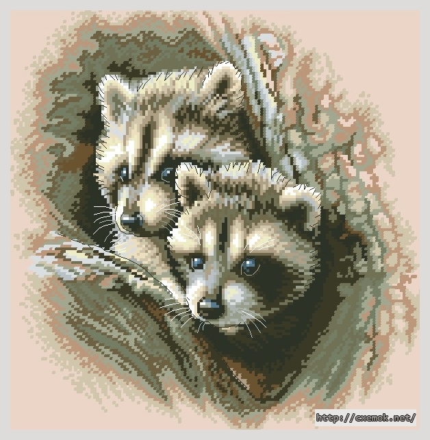 Скачать схемы вышивки нитками / крестом  - Two racoon cubs, автор 