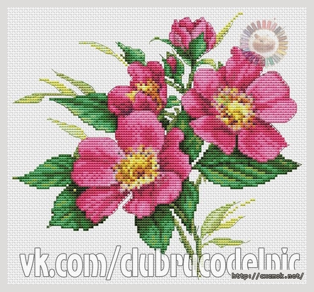 Download embroidery patterns by cross-stitch  - Темно-розовые дикие розы