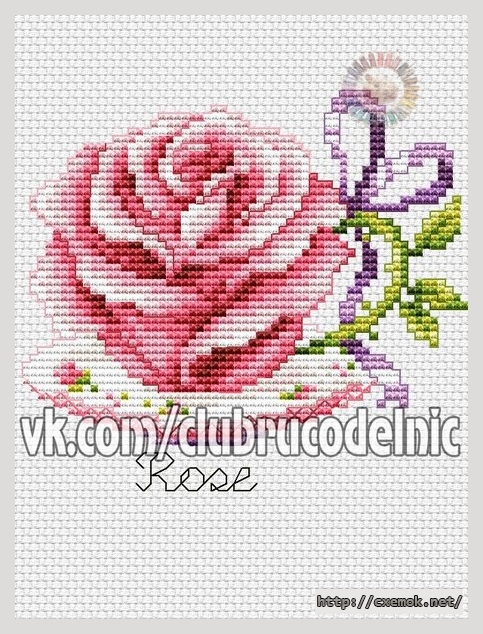 Download embroidery patterns by cross-stitch  - Розочка