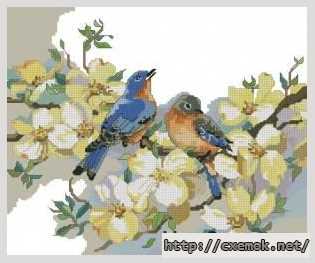 Download embroidery patterns by cross-stitch  - Птицы на цветах