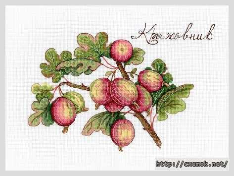 Download embroidery patterns by cross-stitch  - Крыжовник