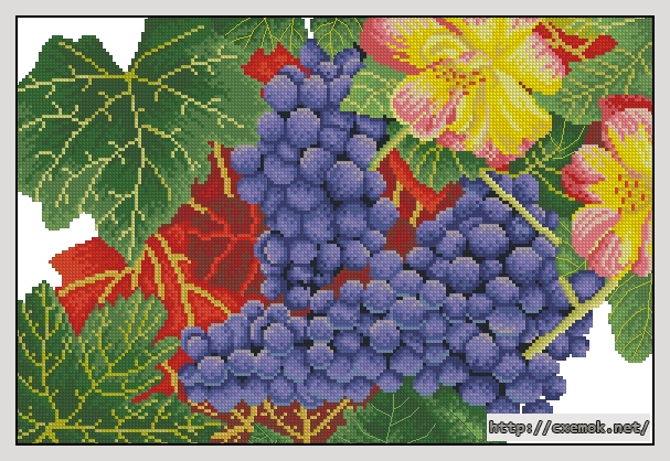 Download embroidery patterns by cross-stitch  - Grapes, author 