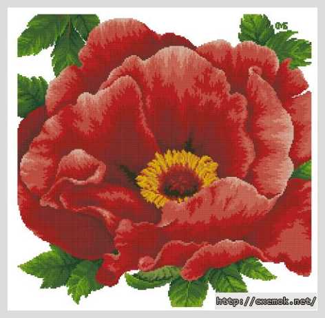Download embroidery patterns by cross-stitch  - Дикая роза