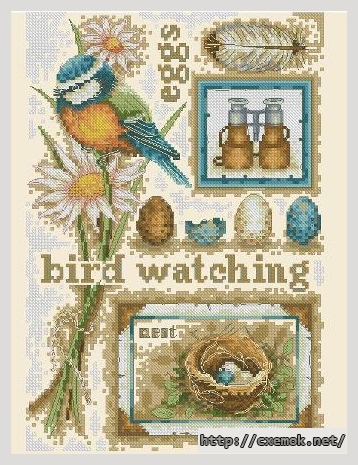 Download embroidery patterns by cross-stitch  - Bird watching, author 