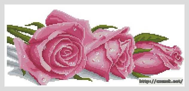 Скачать схемы вышивки нитками / крестом  - Розы в росе (розовые)