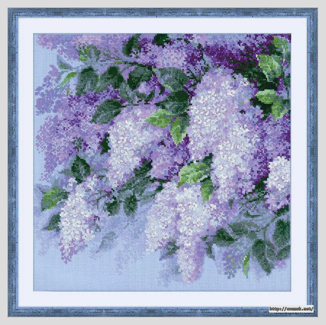 Download embroidery patterns by cross-stitch  - Сирень после дождя