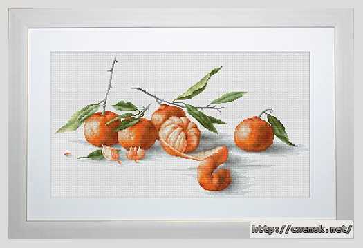 Скачать схемы вышивки нитками / крестом  - Натюрморт с мандаринами