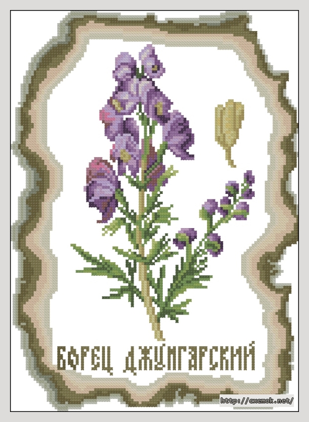 Download embroidery patterns by cross-stitch  - Борец джунгарский, author 