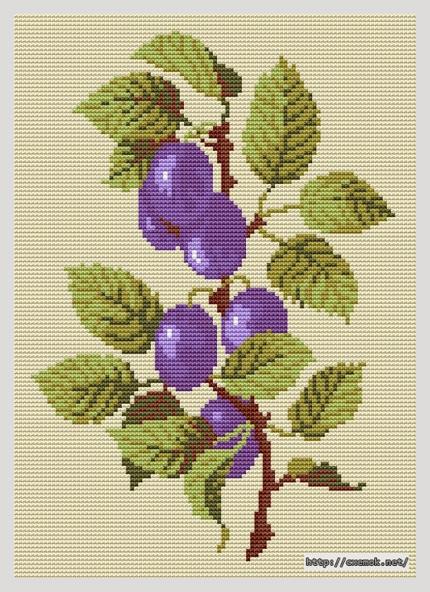 Download embroidery patterns by cross-stitch  - Plums