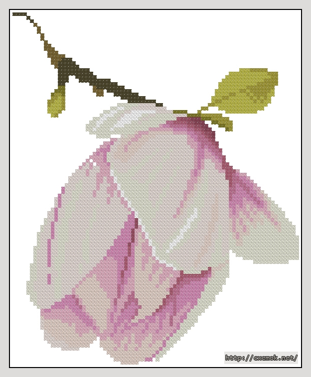 Скачать схемы вышивки нитками / крестом  - Magnolia bud, автор 