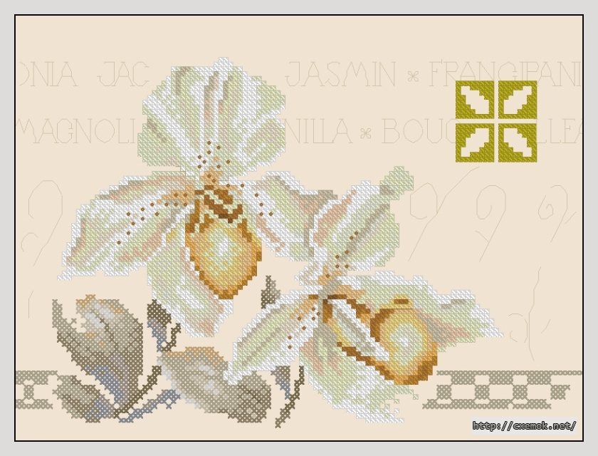 Download embroidery patterns by cross-stitch  - Two orchids, author 