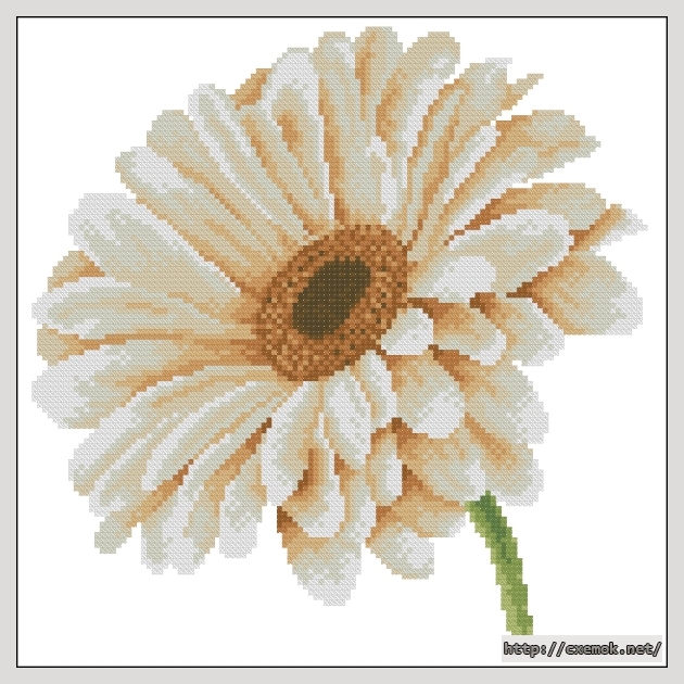 Download embroidery patterns by cross-stitch  - African daisy, author 