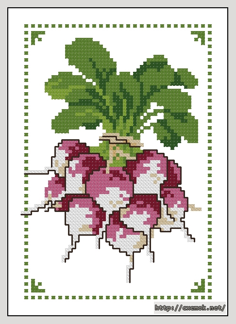 Download embroidery patterns by cross-stitch  - Редис, author 