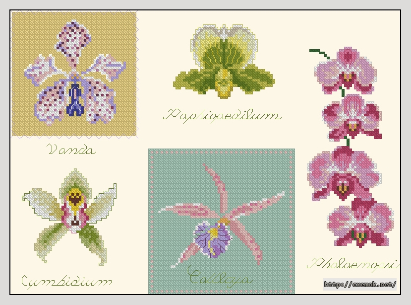 Скачать схемы вышивки нитками / крестом  - Orchids, автор 