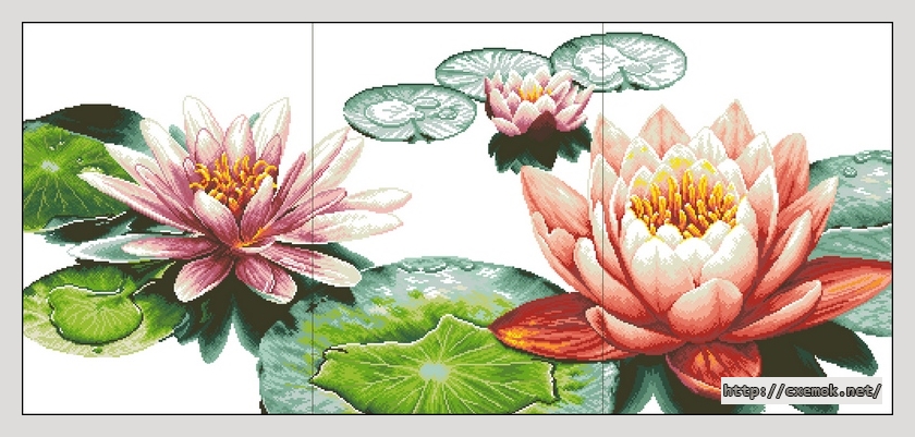 Завантажити схеми вишивки нитками / хрестом  - Fresh lotuses, автор 