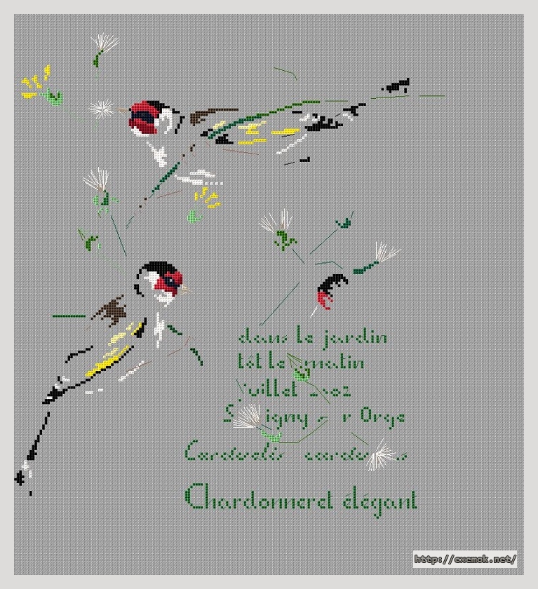 Скачать схемы вышивки нитками / крестом  - Chardonneret elegant, автор 
