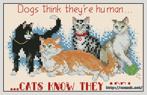 Download embroidery patterns by cross-stitch  - Cats know, author 