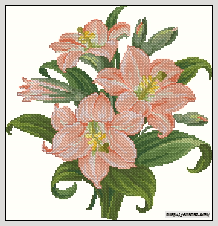 Download embroidery patterns by cross-stitch  - Amarillis bouquet, author 