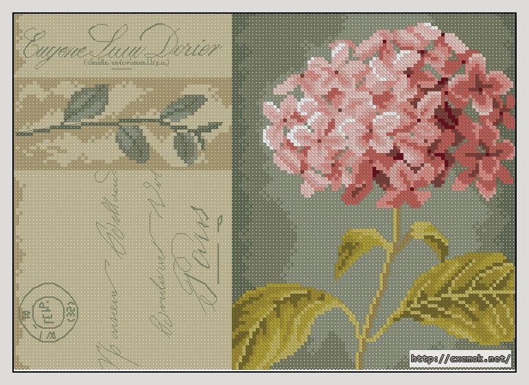 Download embroidery patterns by cross-stitch  - Hydrangea, author 