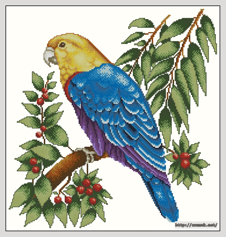 Download embroidery patterns by cross-stitch  - Loro azul, author 