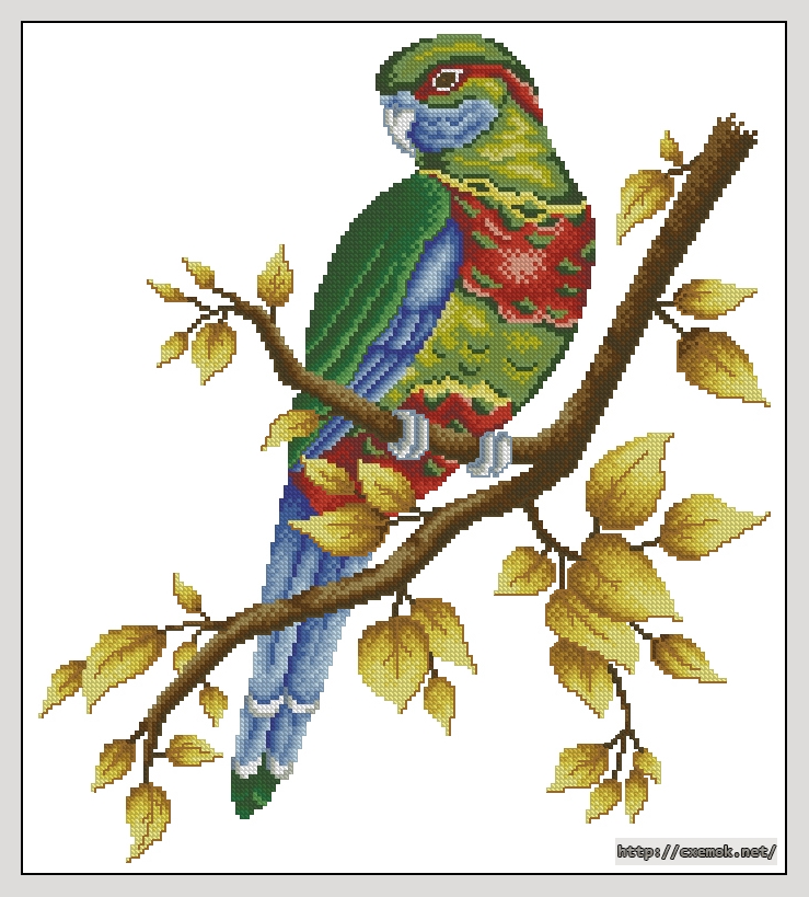 Download embroidery patterns by cross-stitch  - Loro del colores, author 