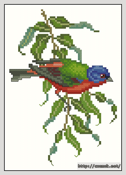 Download embroidery patterns by cross-stitch  - Painted bunting