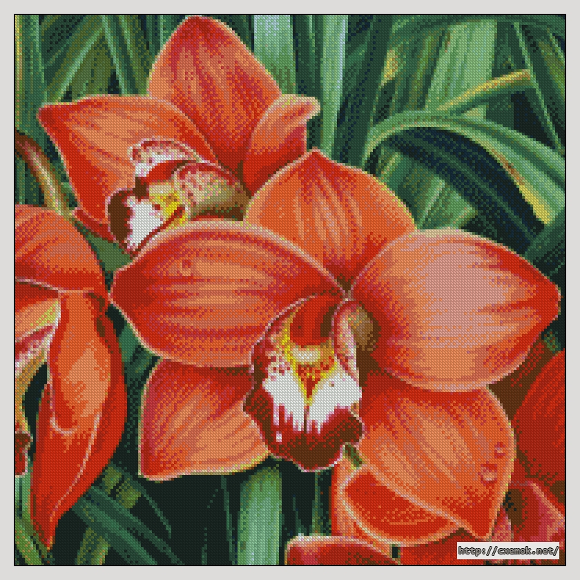 Скачать схему вышивки нитками Красная орхидея, автор 