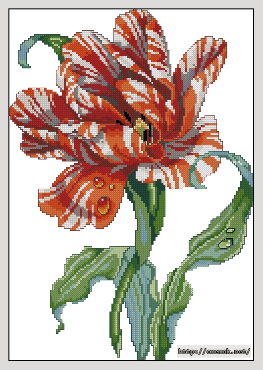 Download embroidery patterns by cross-stitch  - Parrot tulip, author 