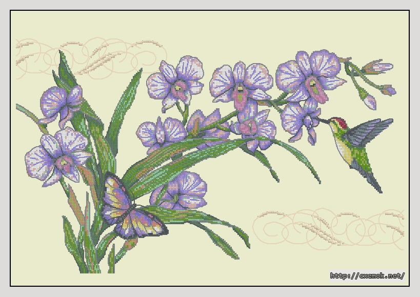 Завантажити схеми вишивки нитками / хрестом  - Orchids & hummingbird, автор 