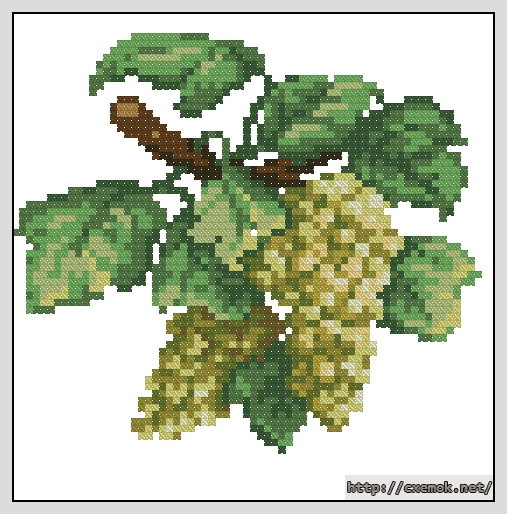 Download embroidery patterns by cross-stitch  - Jasne winogrona, author 