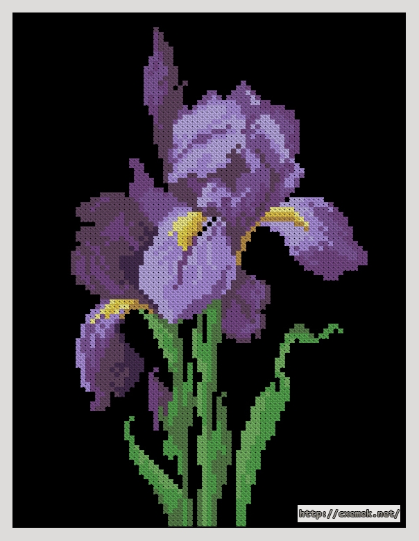 Download embroidery patterns by cross-stitch  - Liliowe irysy, author 