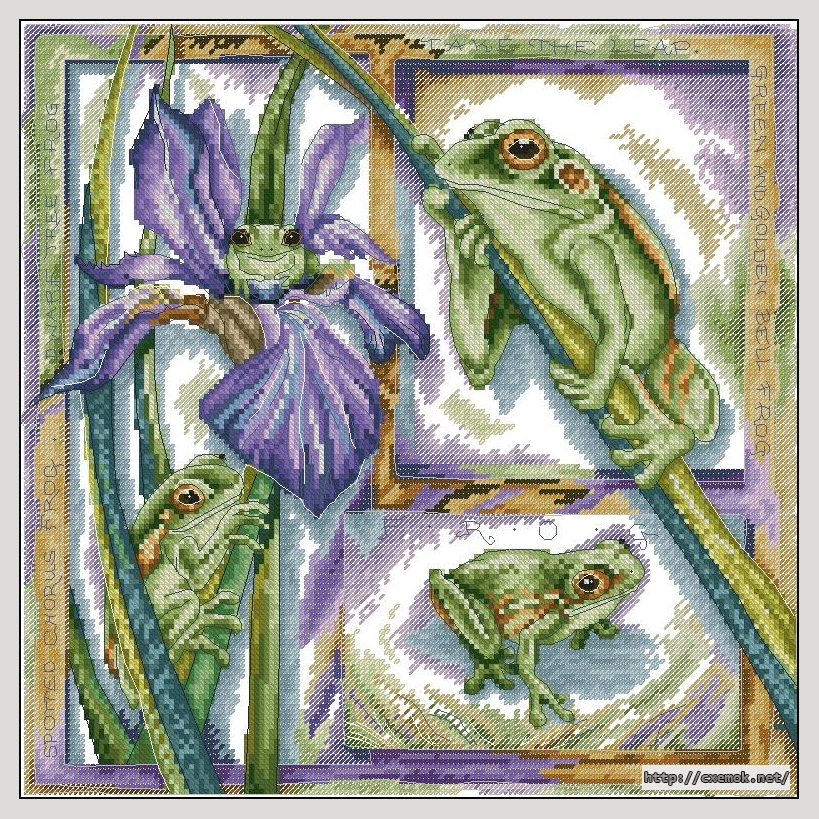 Скачать схемы вышивки нитками / крестом  - Frog, автор 