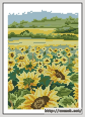 Скачать схемы вышивки нитками / крестом  - Sunflower field, автор 