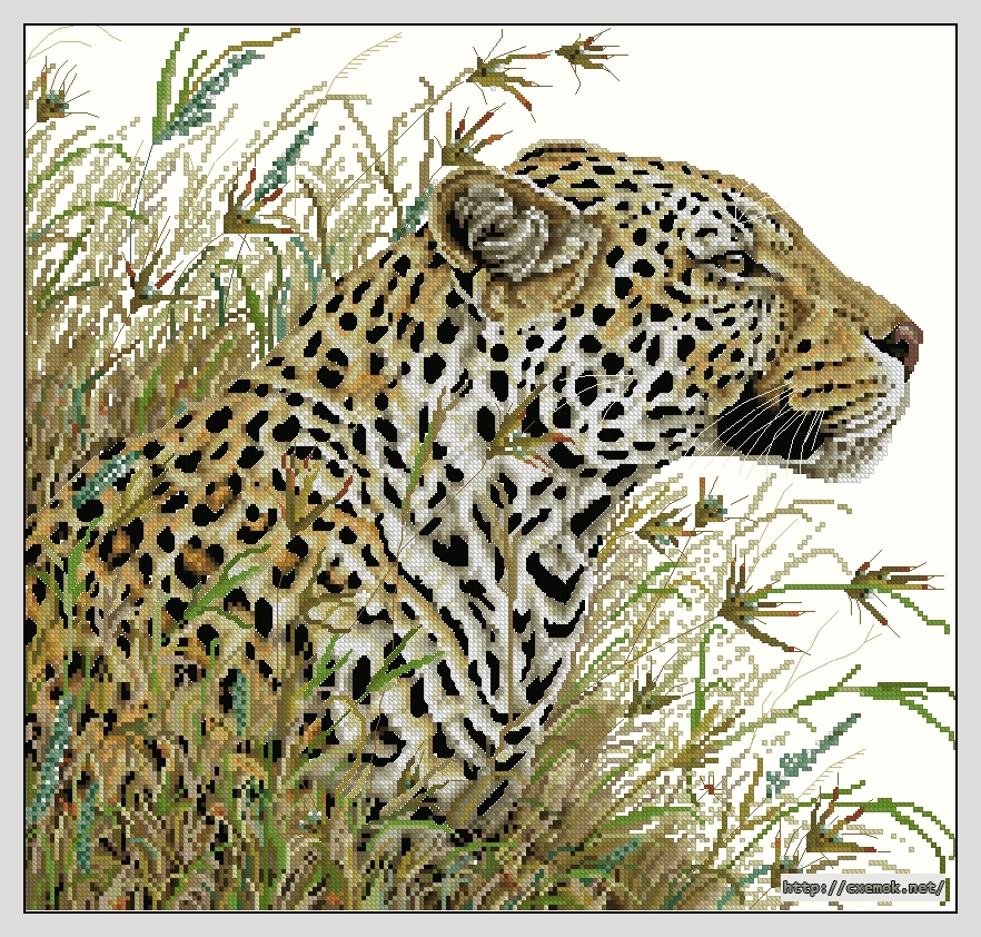 Скачать схемы вышивки нитками / крестом  - Leopard safari, автор 