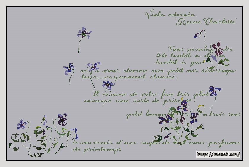 Скачать схемы вышивки нитками / крестом  - Viola reine charlotte, автор 
