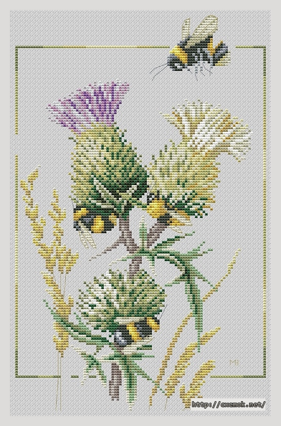 Download embroidery patterns by cross-stitch  - Thistle bees, author 