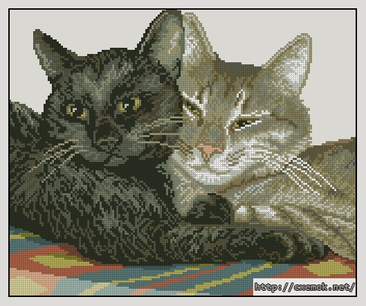 Download embroidery patterns by cross-stitch  - Кошачьи нежности, author 