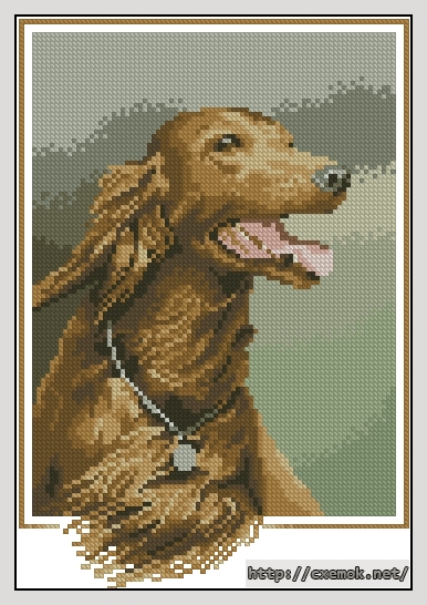 Download embroidery patterns by cross-stitch  - Red setter, author 