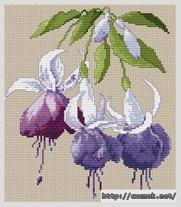 Download embroidery patterns by cross-stitch  - Blue fuchsia, author 