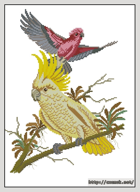 Download embroidery patterns by cross-stitch  - Kakadus, author 
